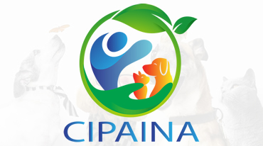 Conoce Nuestra Fundación Cipaina